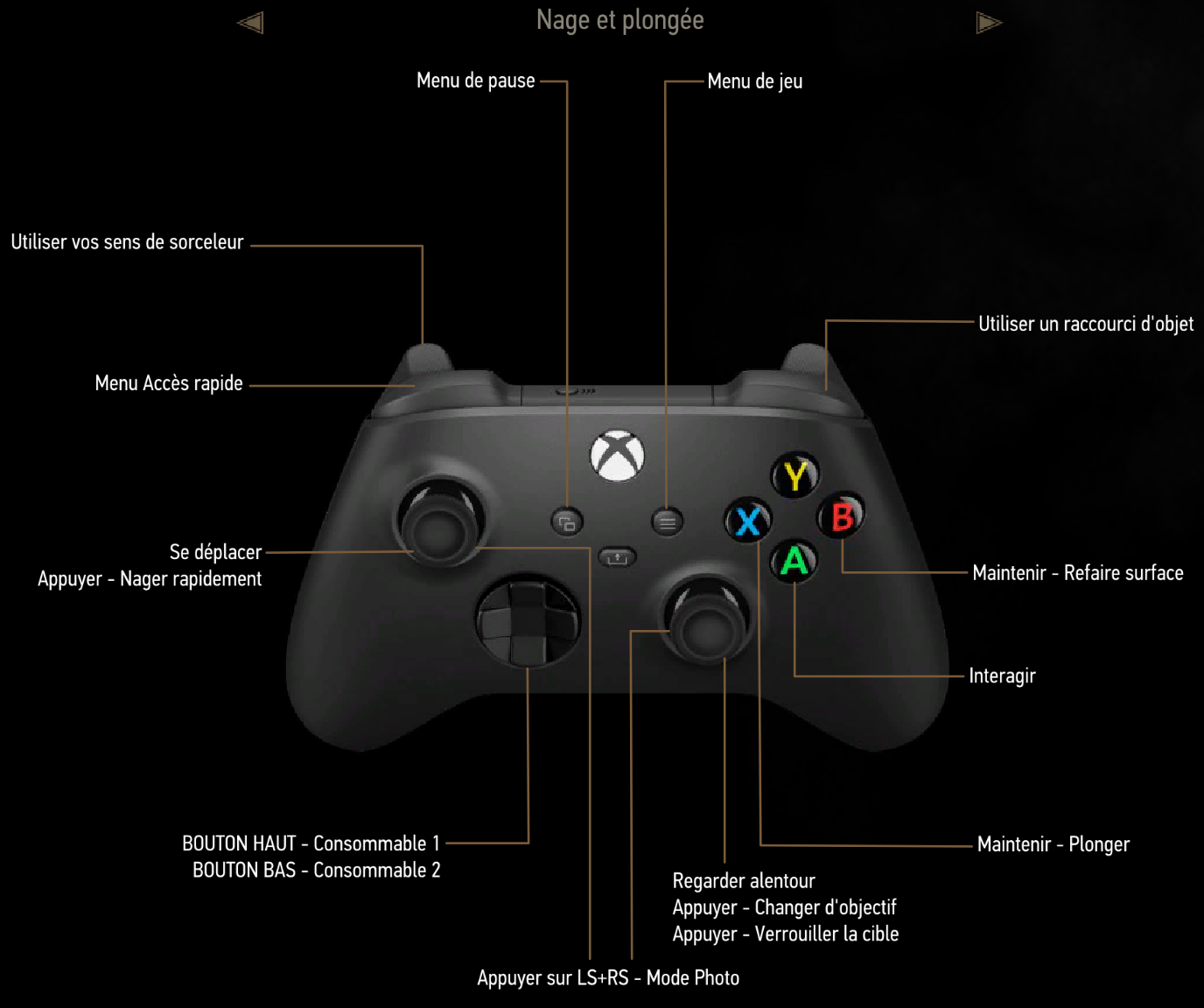 Image tw3 nage plongee